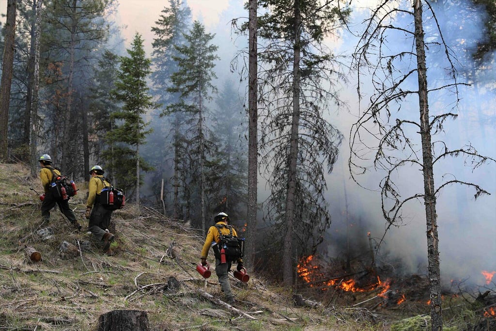 Learning about your fire risk during Wildfire Awareness Month thumbnail