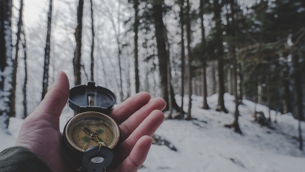picture of a hand holding a compass