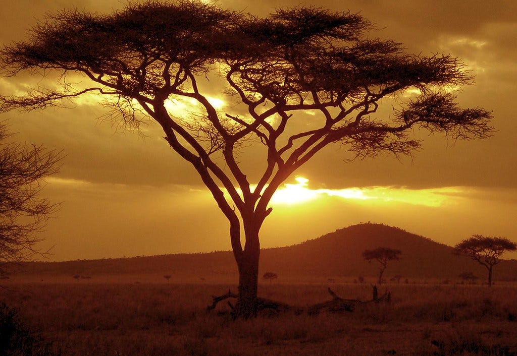 Sunset in Africa