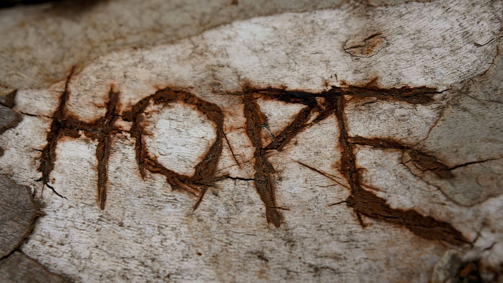 image of wood with the word hope carved roughly into it