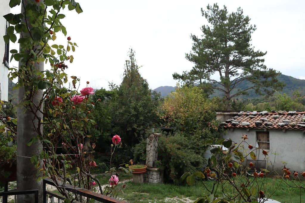 Pink roses climbing a column in a rustic Italian countryside garden, overlooking a stone well, tiled-roof building, and lush green hills near Naples.