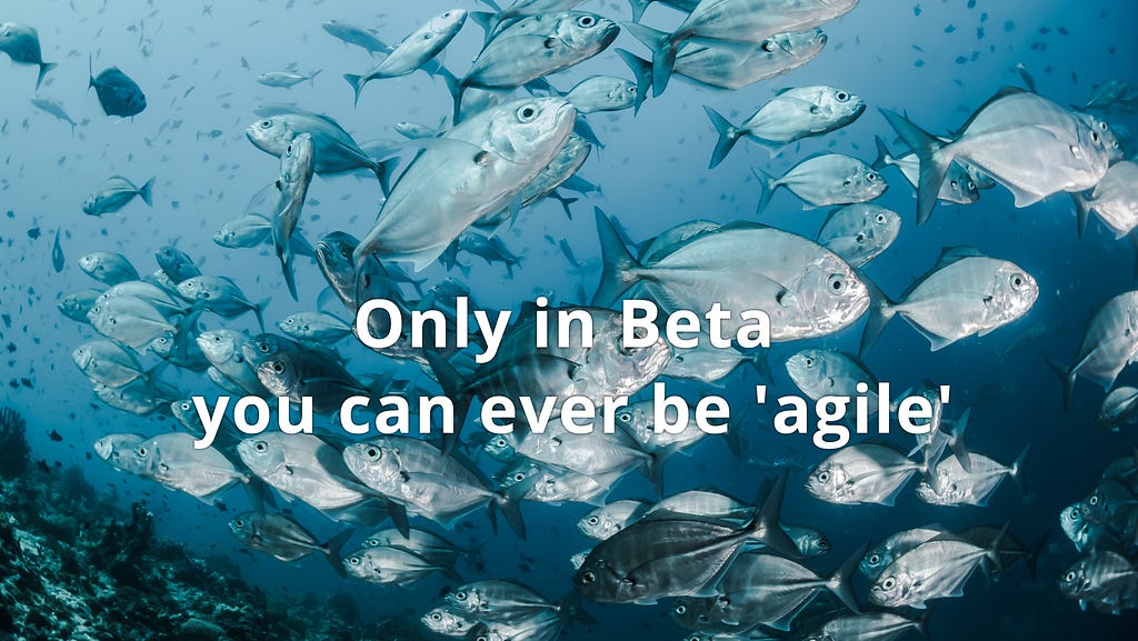 A swarm of fish — a symbol for an agile organization that is adaptive, fast and self-organized. Stefan Willuda