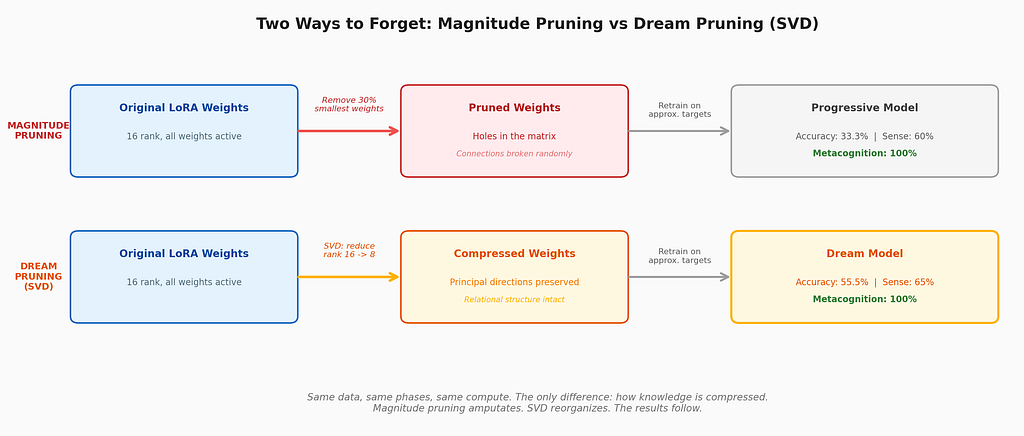 Magnitude pruning zeroes out small weights regardless of their structural role. SVD rank reduction preserves the principal directions of learned knowledge, maintaining relational structure between concepts.