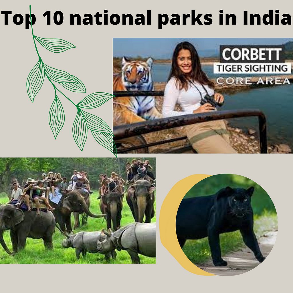 Top 10 National parks in India / e tourist visa India