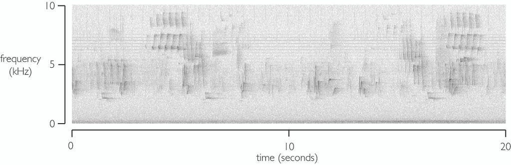 An image showing audio frequency over time