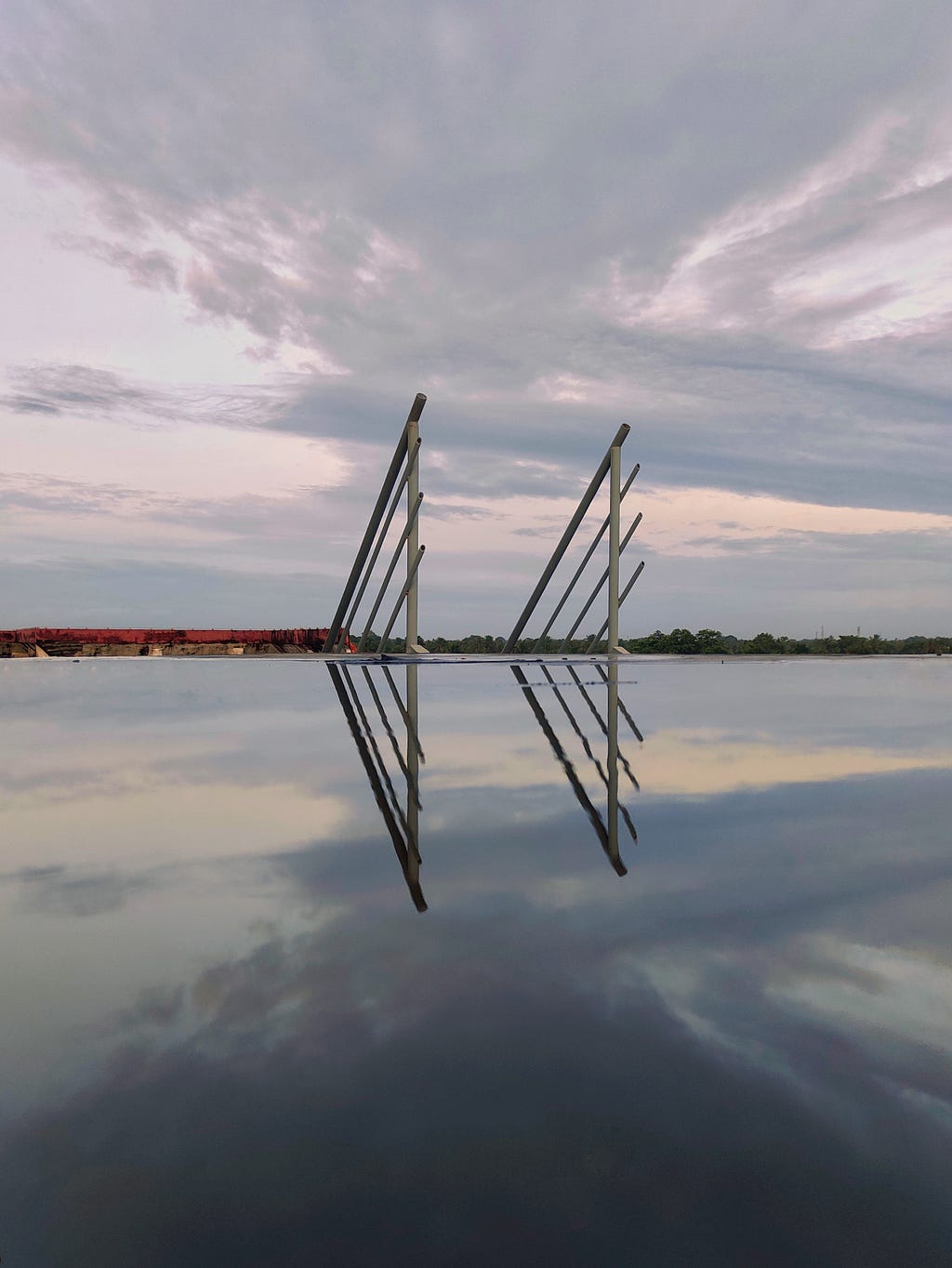 A group of cranes in the water