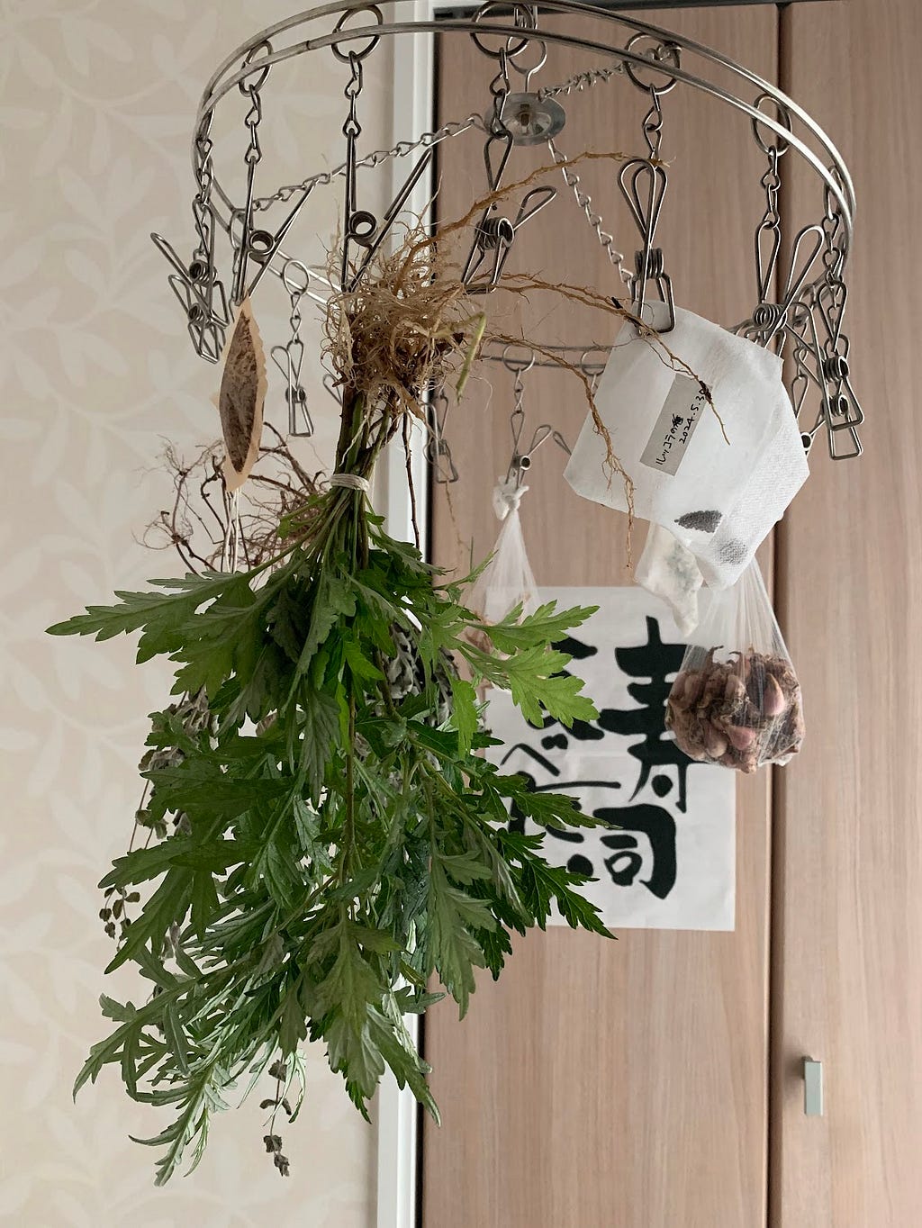 Fresh yomogi (mugwort) plants hanging upside down to dry in a closet, secured with clips on a metal drying rack.