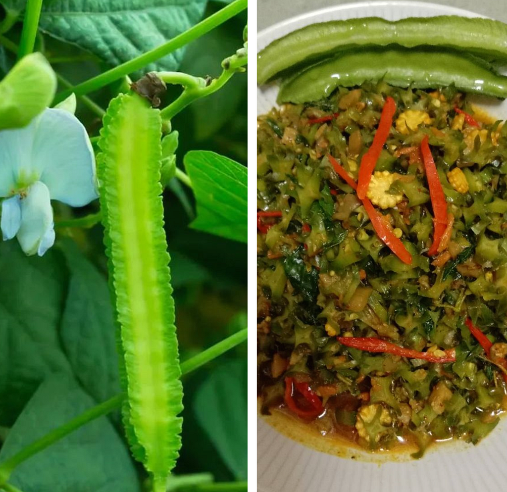 Vegan Pad Kra Pao Thuaw Phu  — A vegan stir-fried dish where winged beans are the main ingredient, and it’s seasoned with the distinctive flavors of Thai holy basil, garlic, and chili