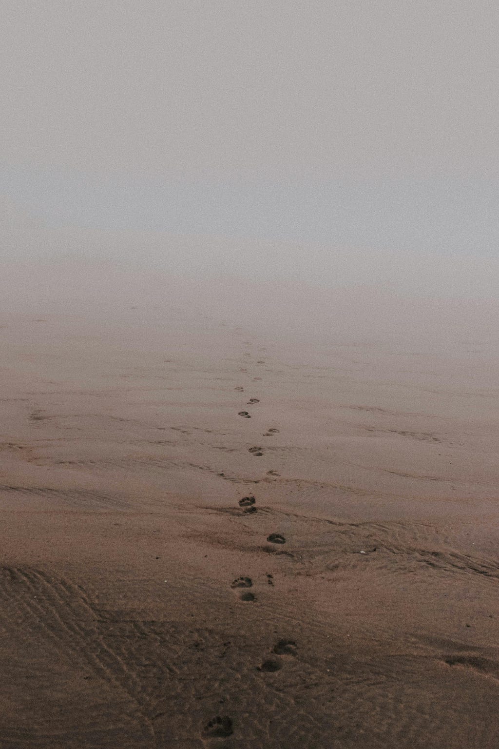 Footprints in the sand