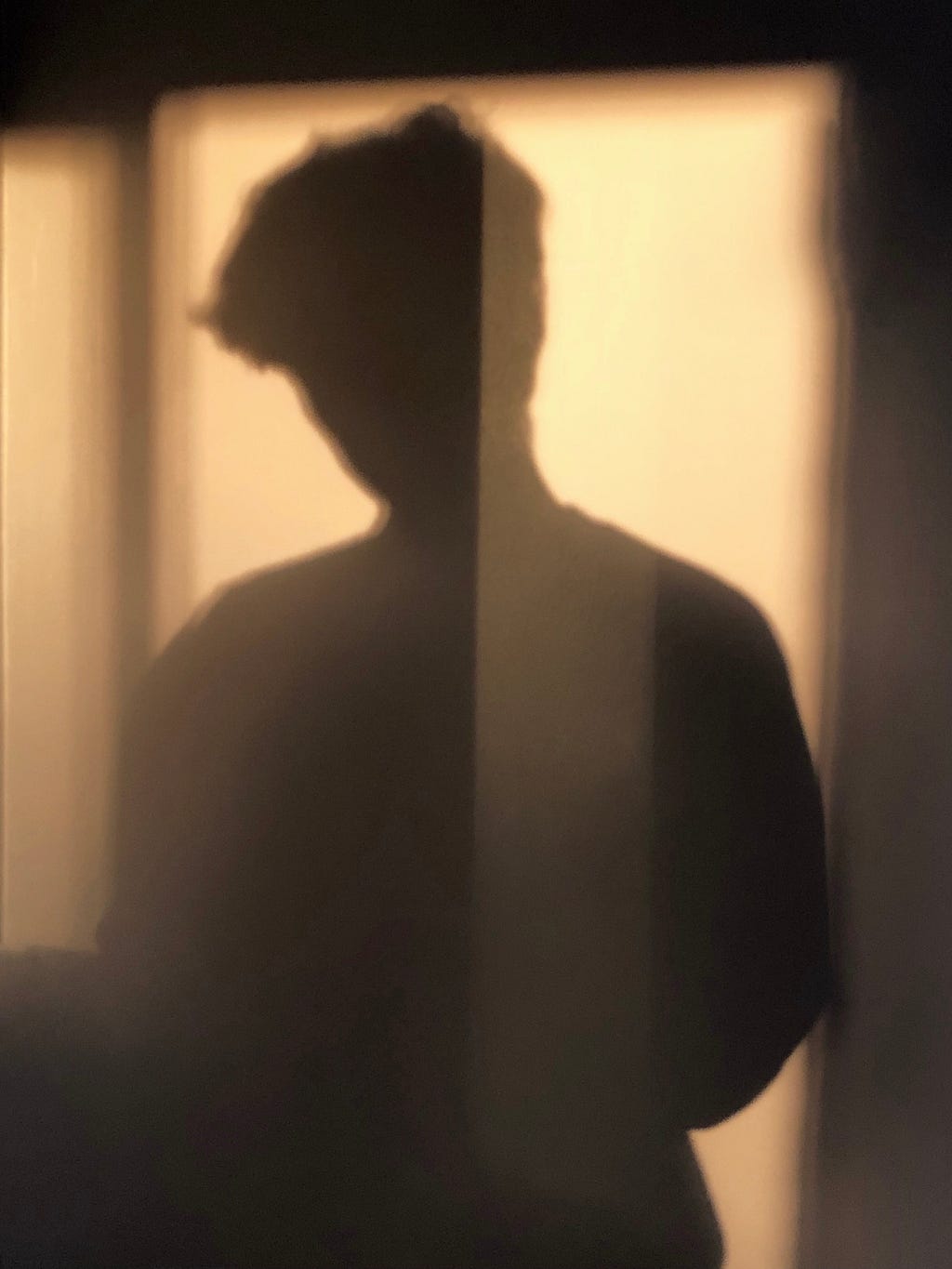 Portrait of a person’s shadow