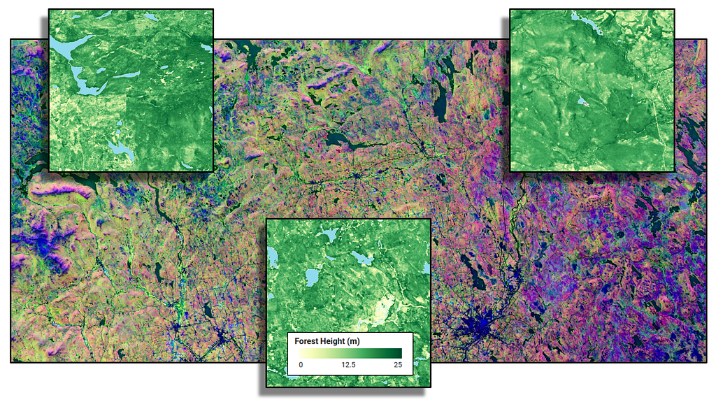 Google Earth and Earth Engine - Medium - Improved forest carbon estimation with AlphaEarth Foundations and Airborne LiDAR data