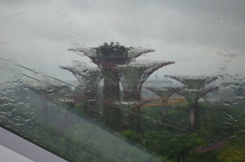 View from the Cloud Forest of Singapore where i saw “One Degree Maters” documentary.