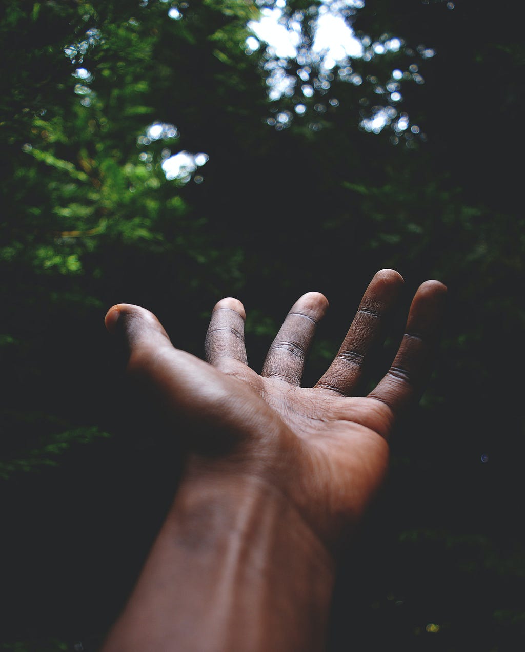 a dark brown open palmed hand reaching out walking on a path in a forest