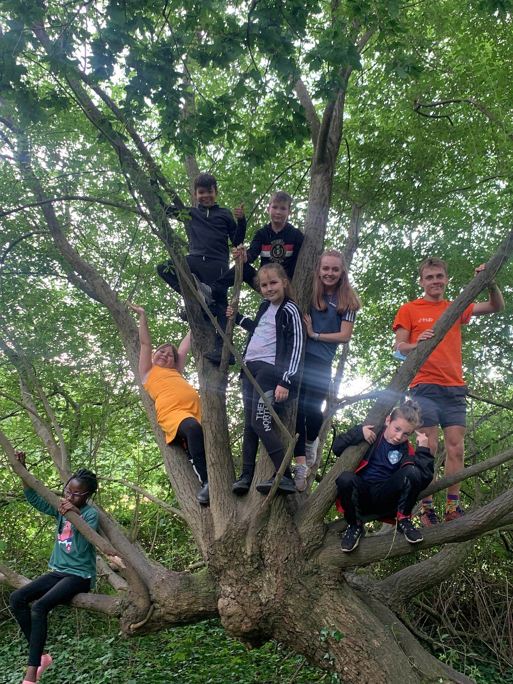6 children and 2 volunteers climbing a tree, looking at the camera