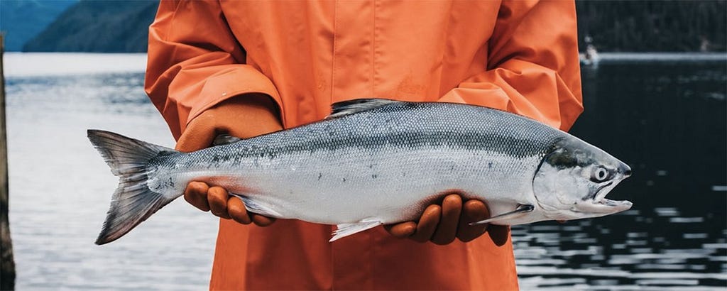 Sockeye Salmon Northline Seafoods