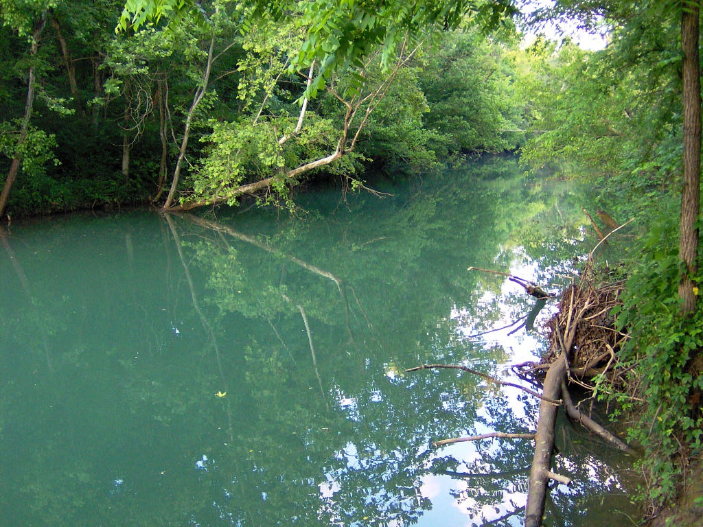 An image of the Wolf River in Fentress County, Tennessee.