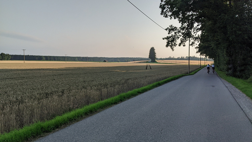 A photograph of two cyclists riding along a flat road with a wheat field to the left.