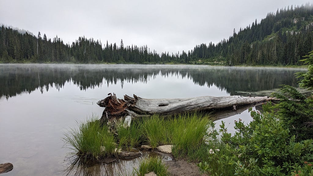 Image of a lake with no waves, the water acts like a mirror. In the front, is a bit of grass and an old, weathered log that sits in the water.