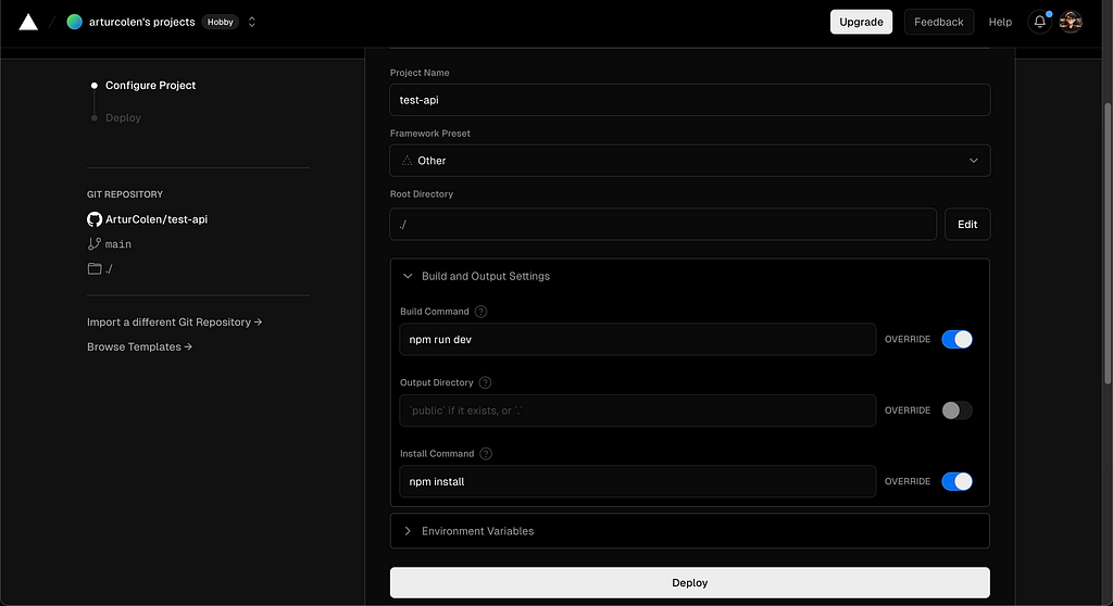 Example image of how to configure the second section of the API hosting