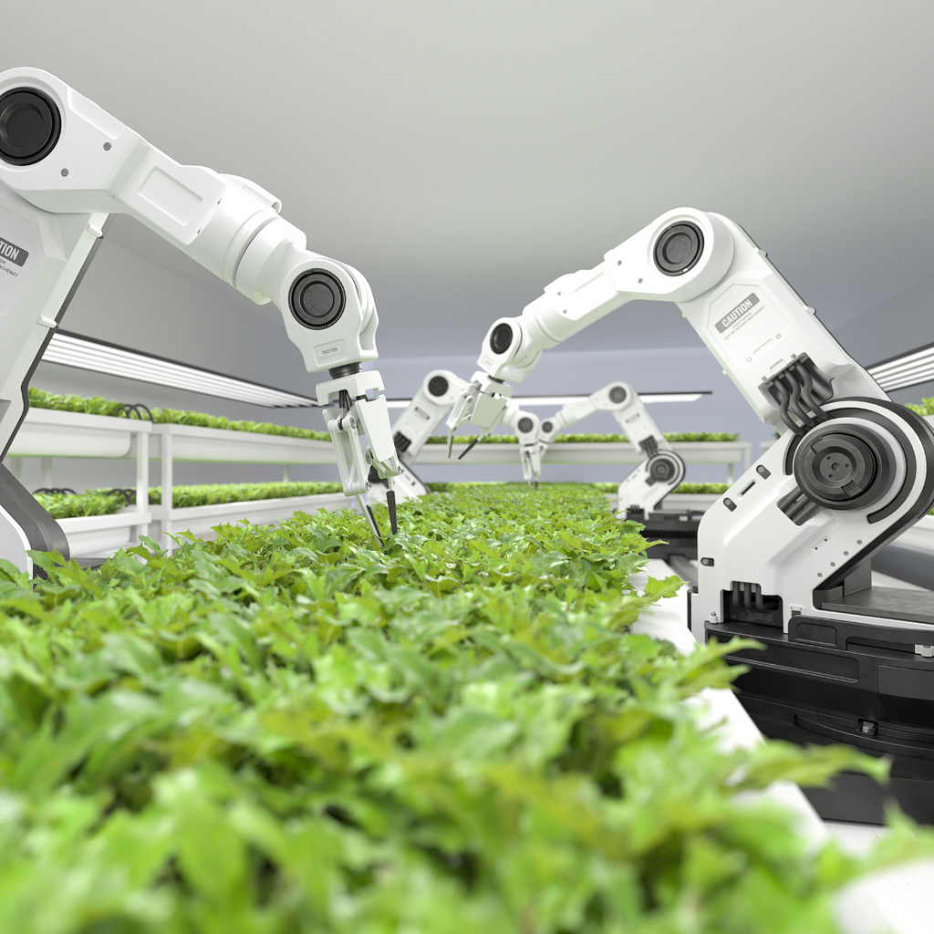 Robotic arms tend to rows of green plants in an indoor farming setup, showcasing the use of automation and robotics in agriculture for efficient and controlled food production.