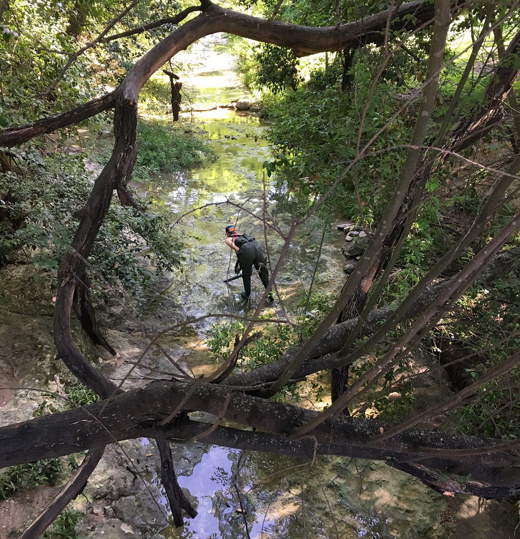 A student researcher at UT stands in part of Bull Creek in Austin, Texas, collecting water samples.