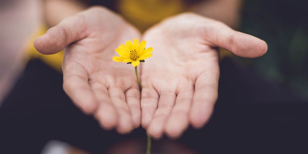 A girl holding a beautiful flower