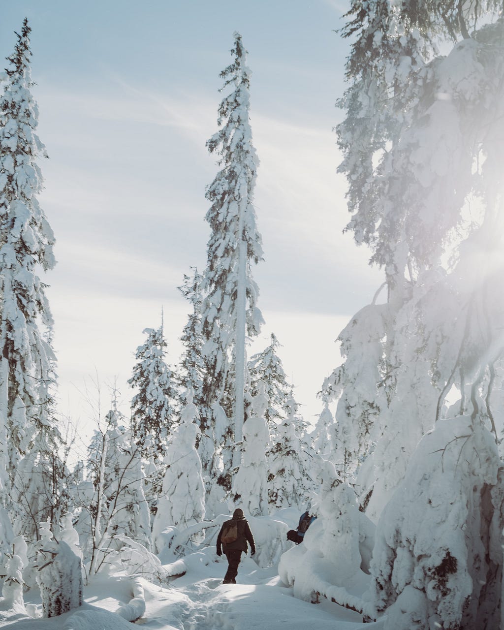 Photo of man in snow surrounded by trees with sun shining down in cloudy winter weather. Photo on Dr. James Goydos 2021 article on sunburn in winter.
