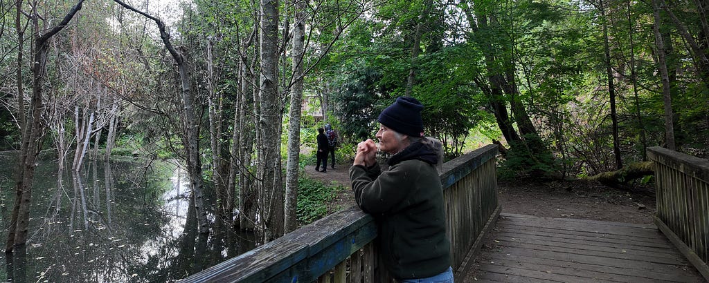 A person stands on a wooden bridge in a wooded area, looking out over a quiet creek surrounded by trees. In the background, two people walk along a forest path during an evening search for beaver activity.