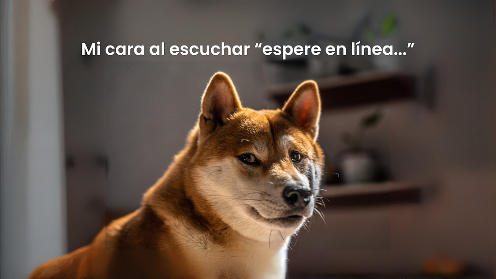 Si tu cliente está insatisfecho, te arrepentirás