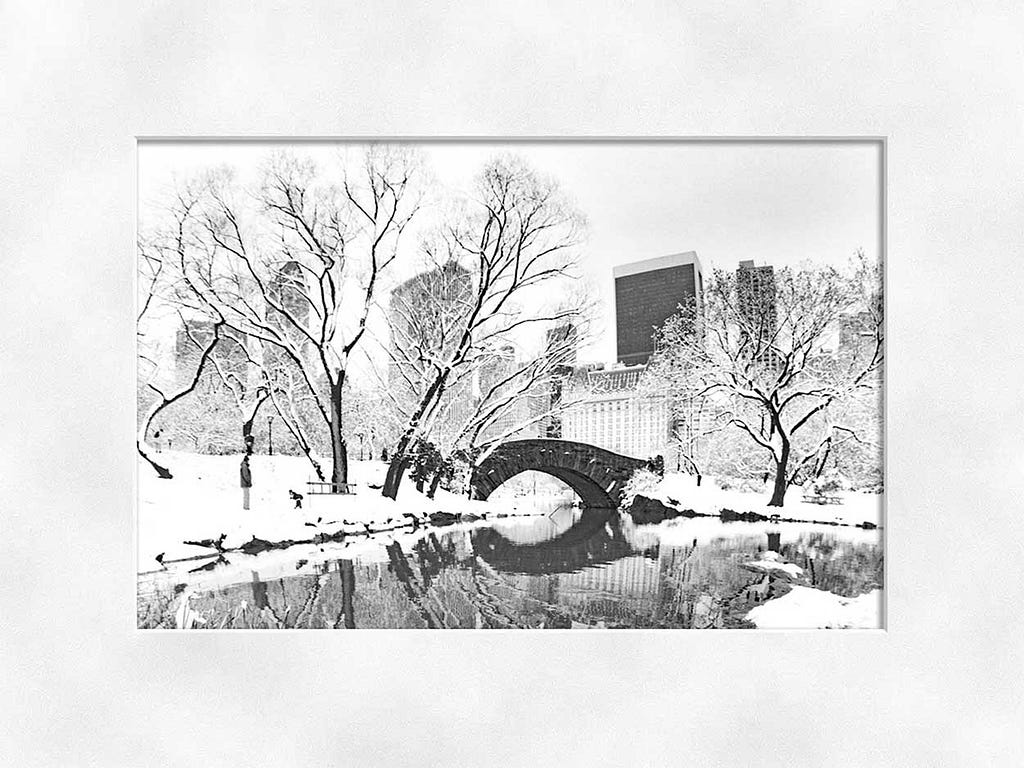 Gapstow Bridge Black and White Photography by Alex Leykin