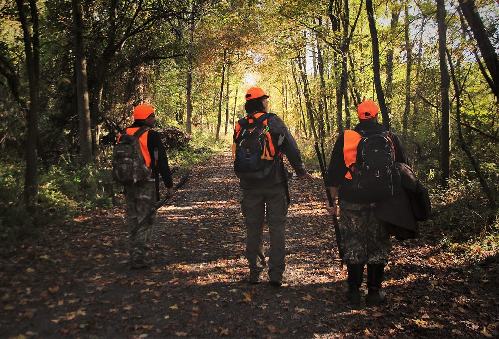 Three hunters wearing orange walk down a trail