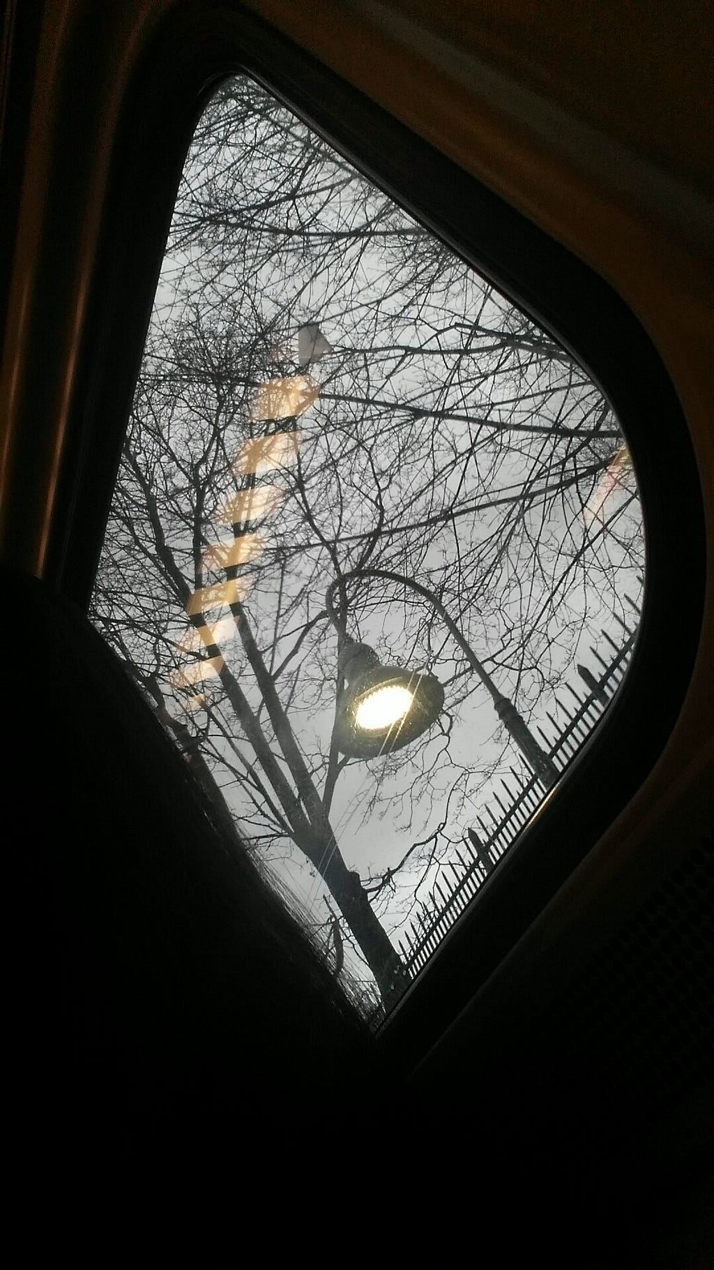 View from the Metro North the train that connects Yonkers to NYC, a street lamp against the backdrop of leafless branches.