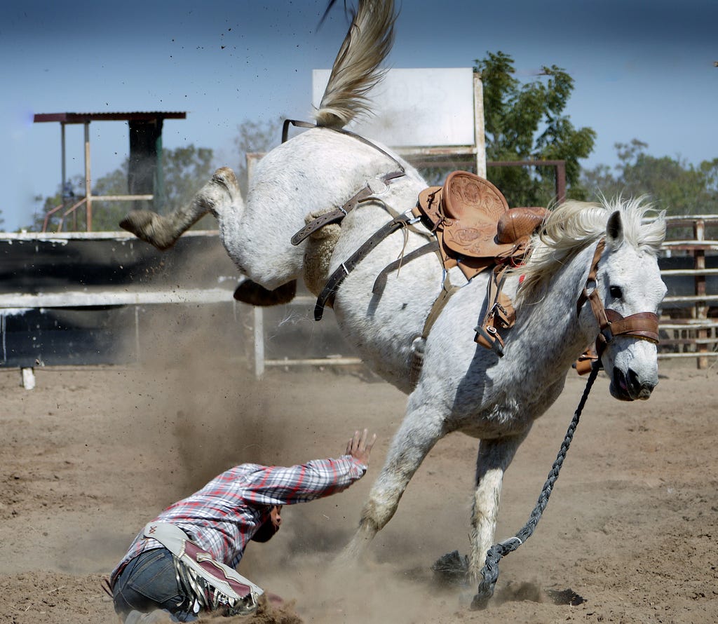 A white horse jumping with the rider on the ground