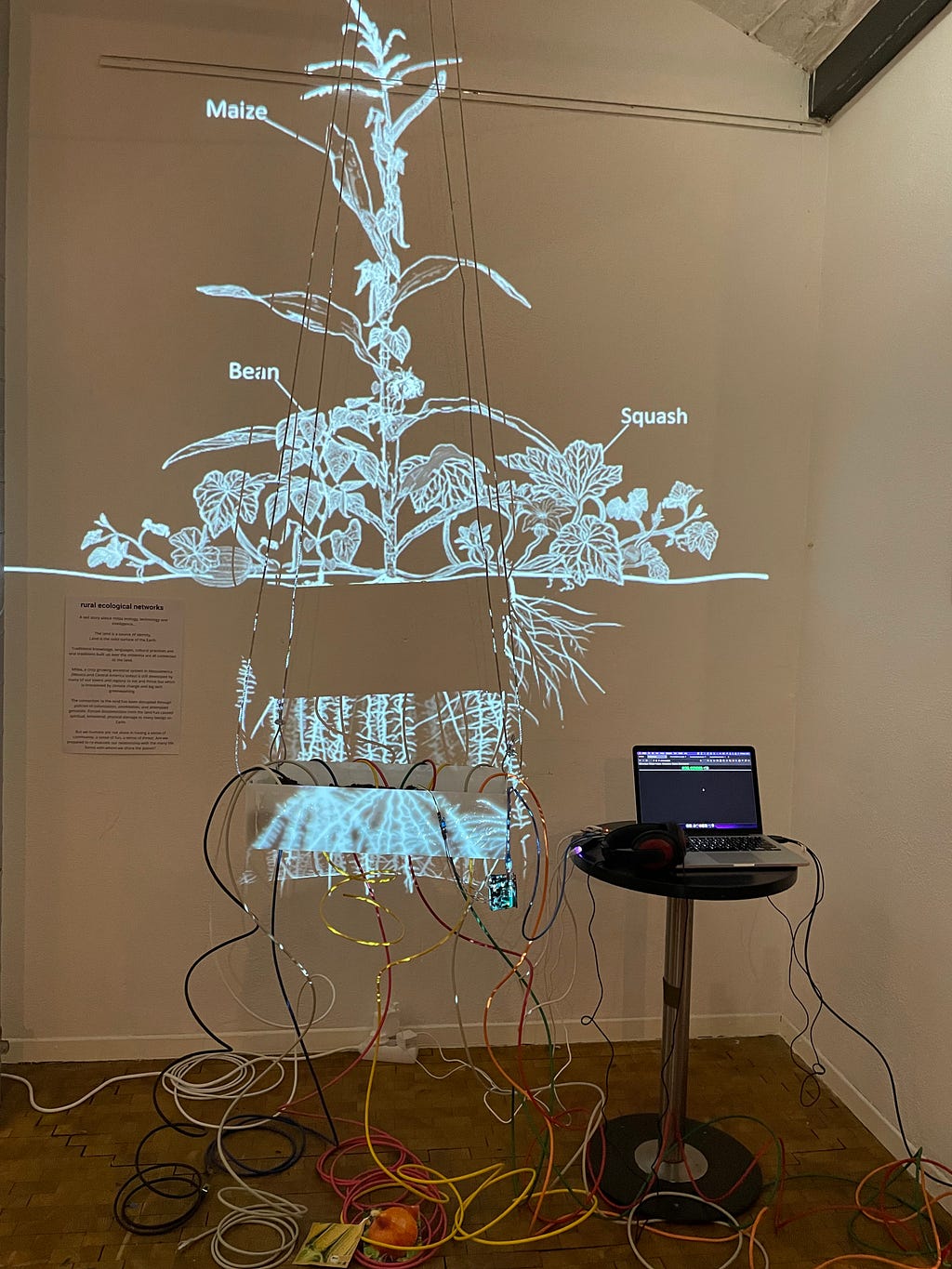 a projected image of a milpa system with a soil moisture sensor that triggers website content with ethernet cables coming down from the soil towards the floor