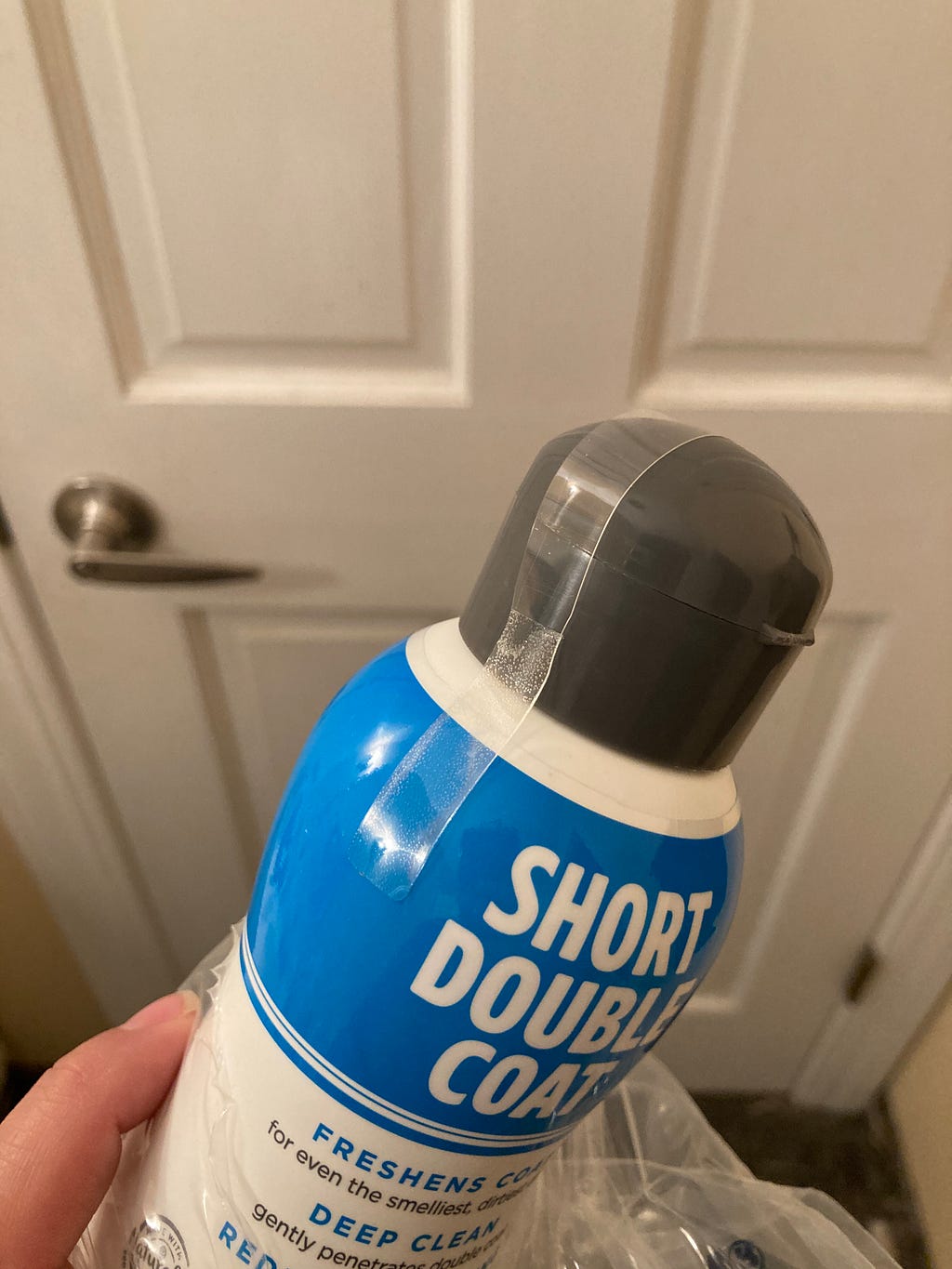 Best Shampoo For Corgi