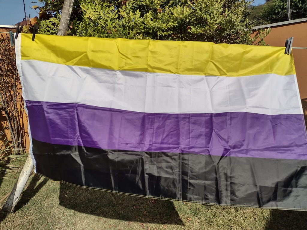 uma foto de uma bandeira nao binaria pendurada em um varal (cores: amarelo, branco, roxo e preto)
