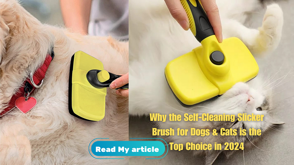 Why the Self-Cleaning Slicker Brush for Dogs & Cats is the Top Choice in 2024