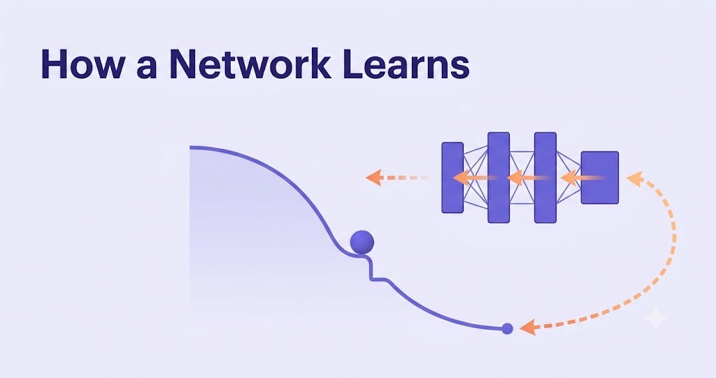 Vision Transformer, Part 6 — How It Learns: Logits → Loss → Backprop → Update