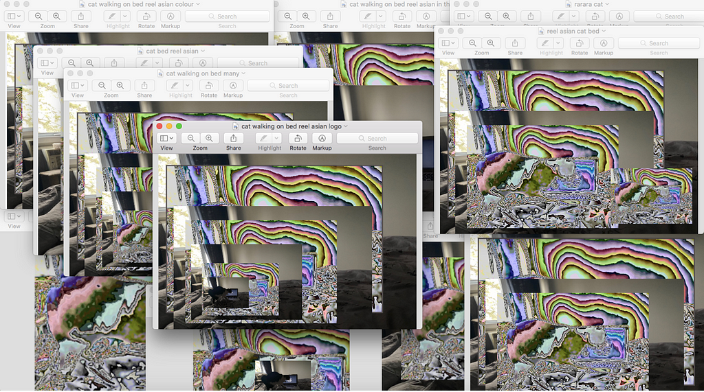 Collaged screenshots of a cat stepping onto the keyboard of a laptop whose black screen bears the white Reel Asian 25 logo. In some of the screenshots, the image is deep fried and multicoloured.