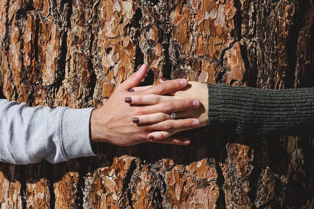Two hands intertwined and holding a large tree.