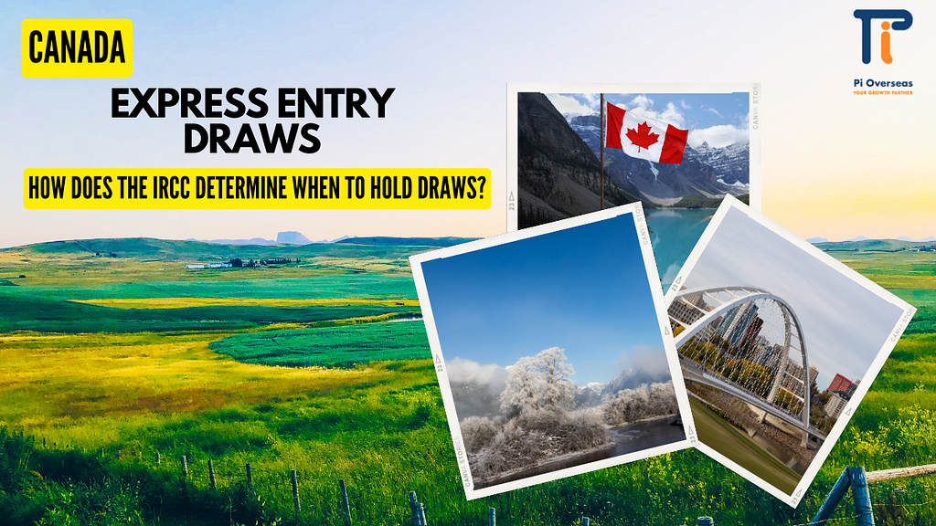 How does the IRCC determine when to hold Express Entry draws?