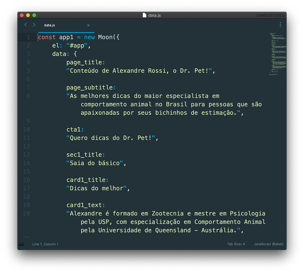 screenshot showing javascript code