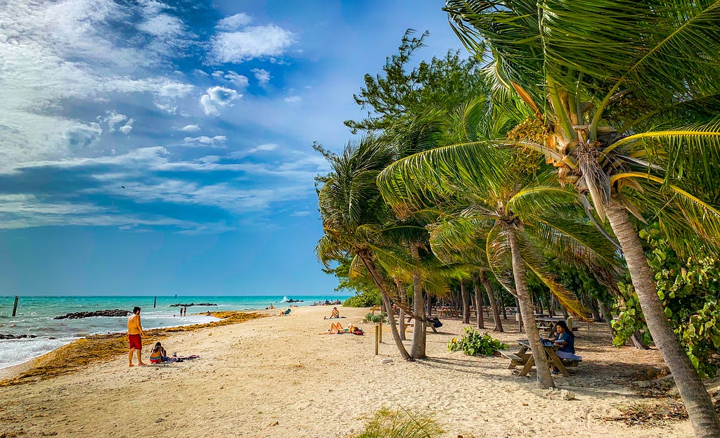 Palm trees sway over the sandy beach and azure waters at Fort Zachary National Park.