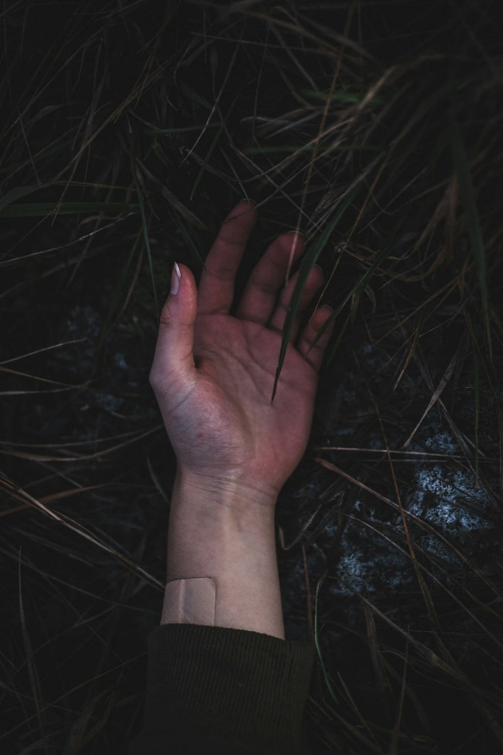 A photo of a hand laying on top of the cold ground and brownish grass with the palm facing upward