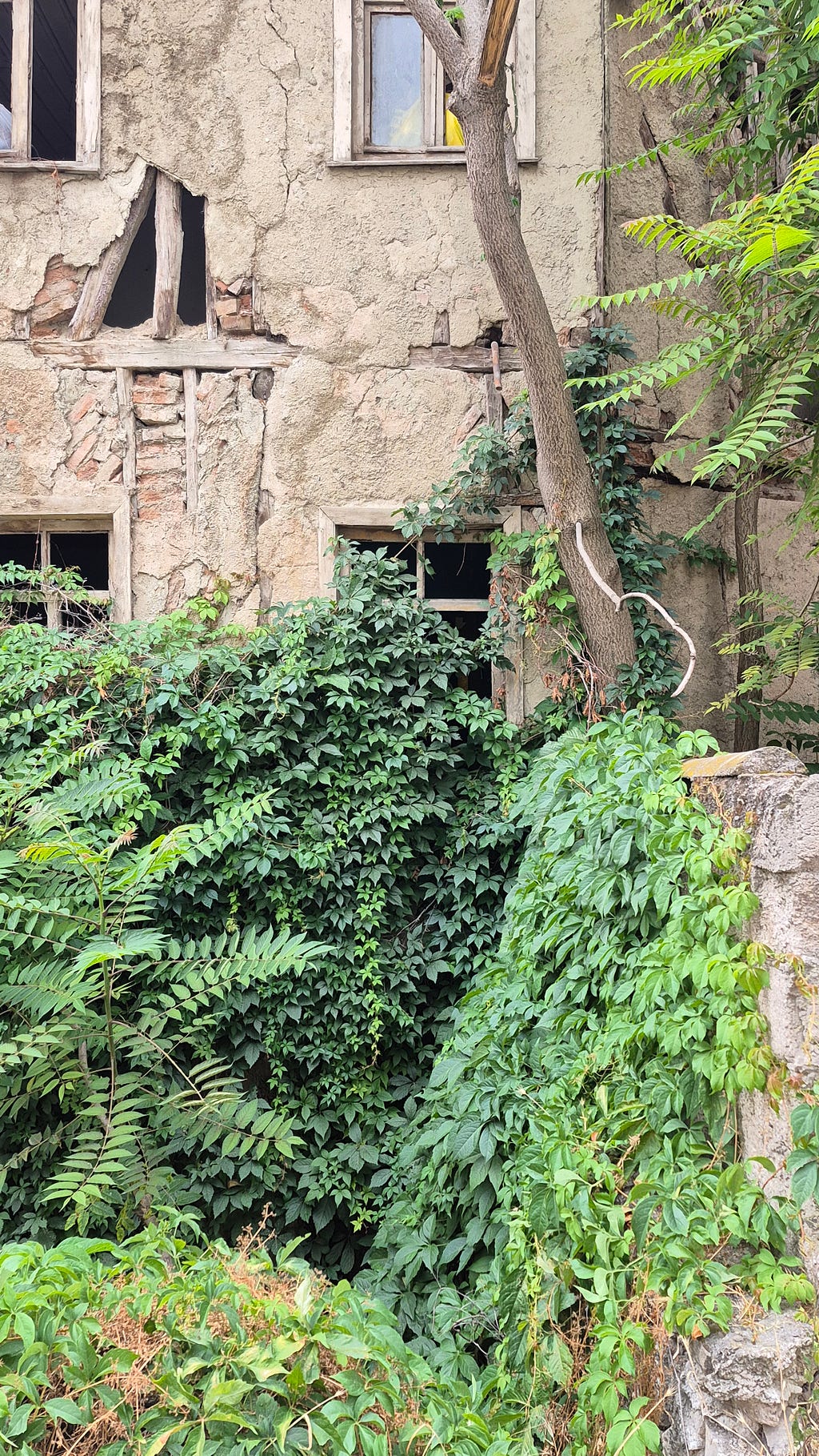 Bedenin Yas Tutmasına İzin Vermek