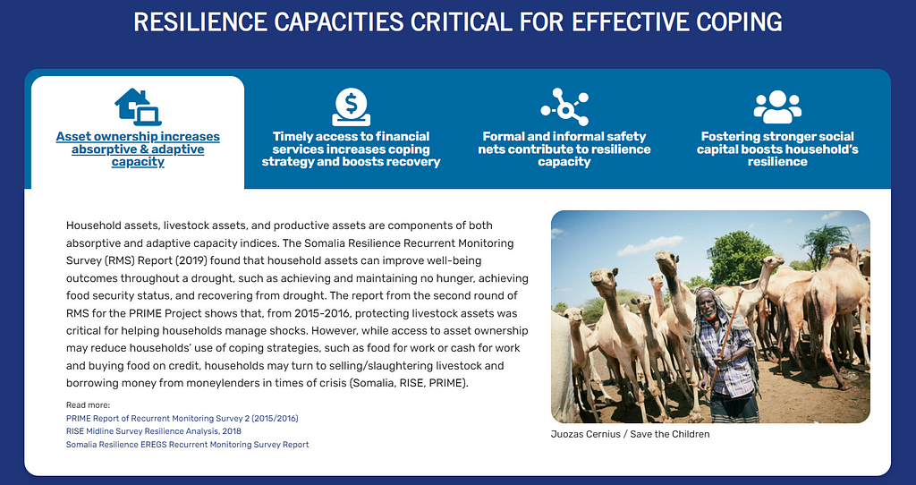 A screenshot of the resilience capacities critical for effective coping section of the dashboard. There are four tabs, One is selected and there is a photo, a paragraph of text and a few links.