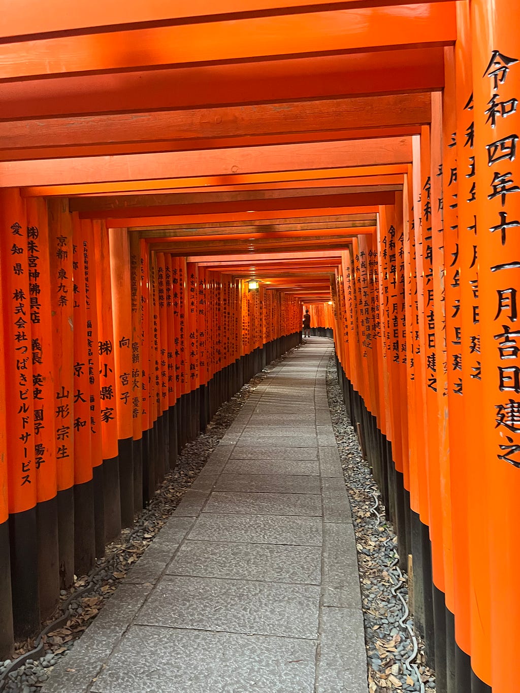 Picture taken at fushimi inari