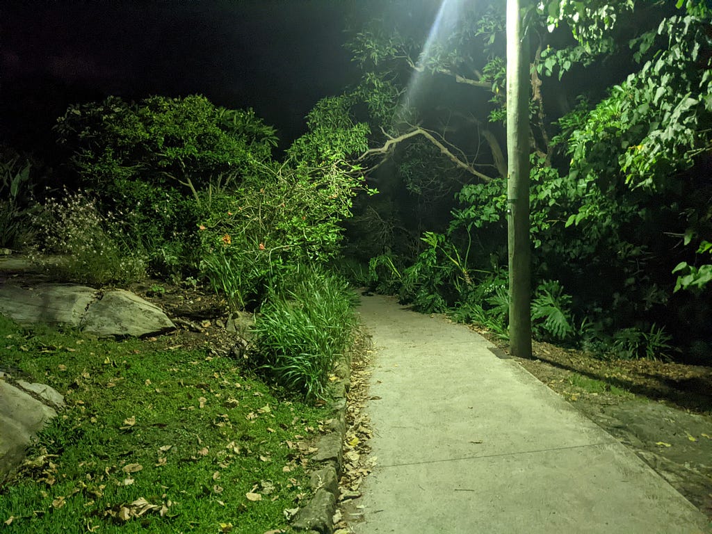 a pathway through a park at night, the bushes and grass shining vivid green under the light of a streetlamp