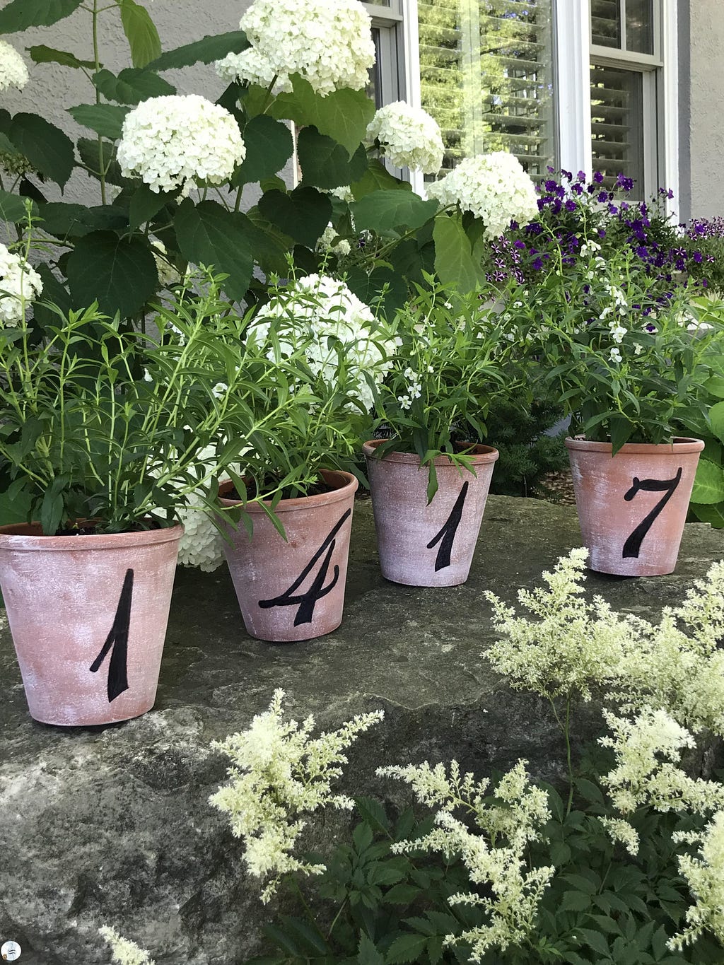 DIY Painted Flowerpots