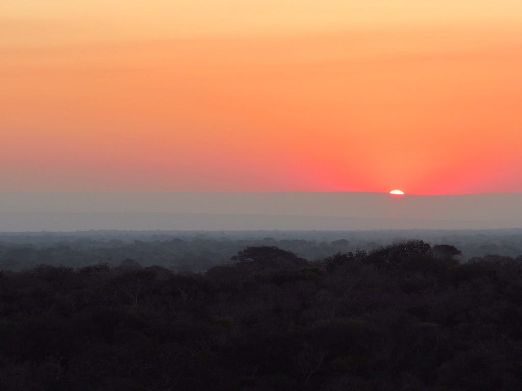 A sunset of pink and orange, across the African plains as the sun dips deeper into the horizon
